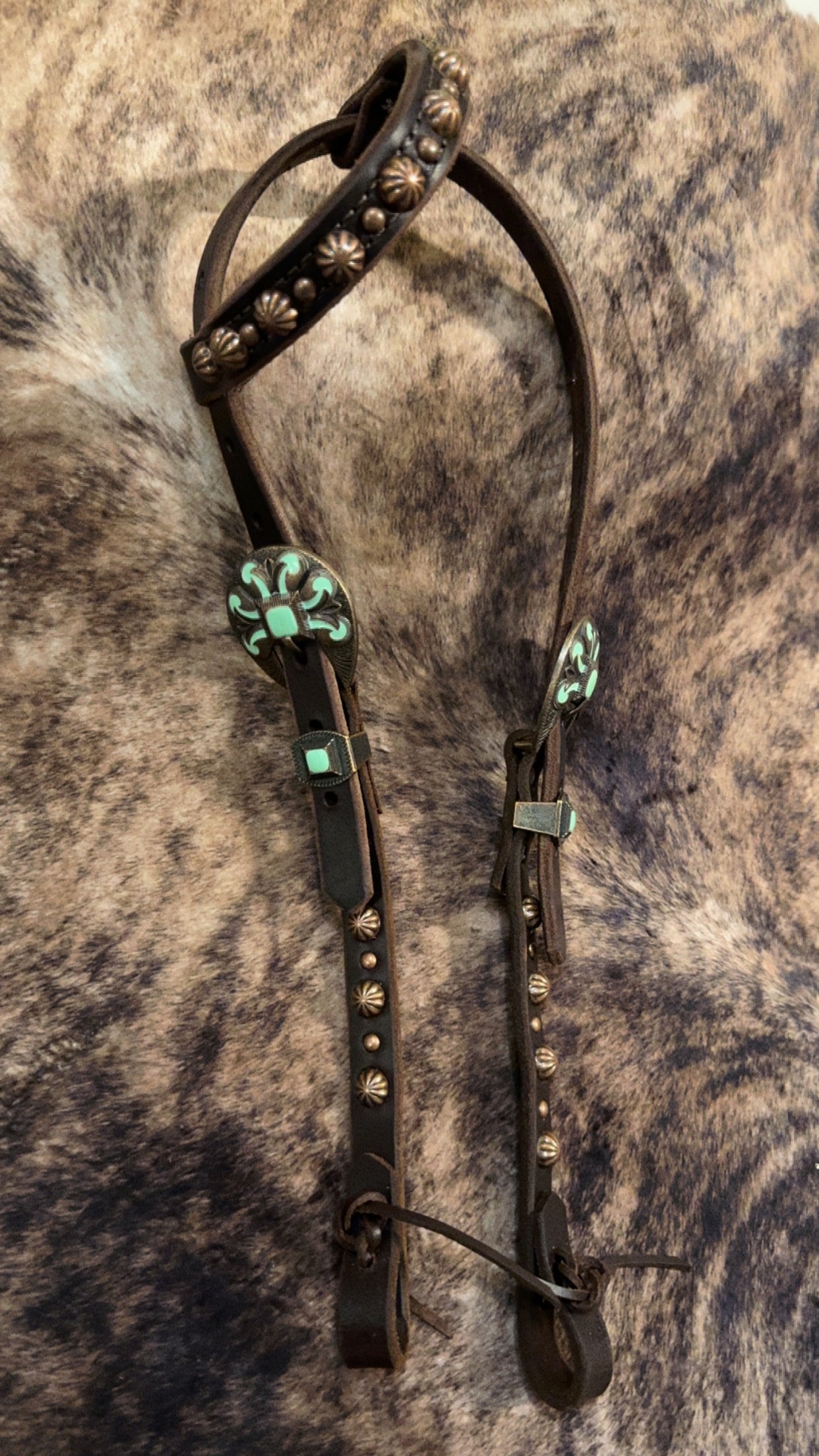 Fancy Buckle Copper Spotted One Ear