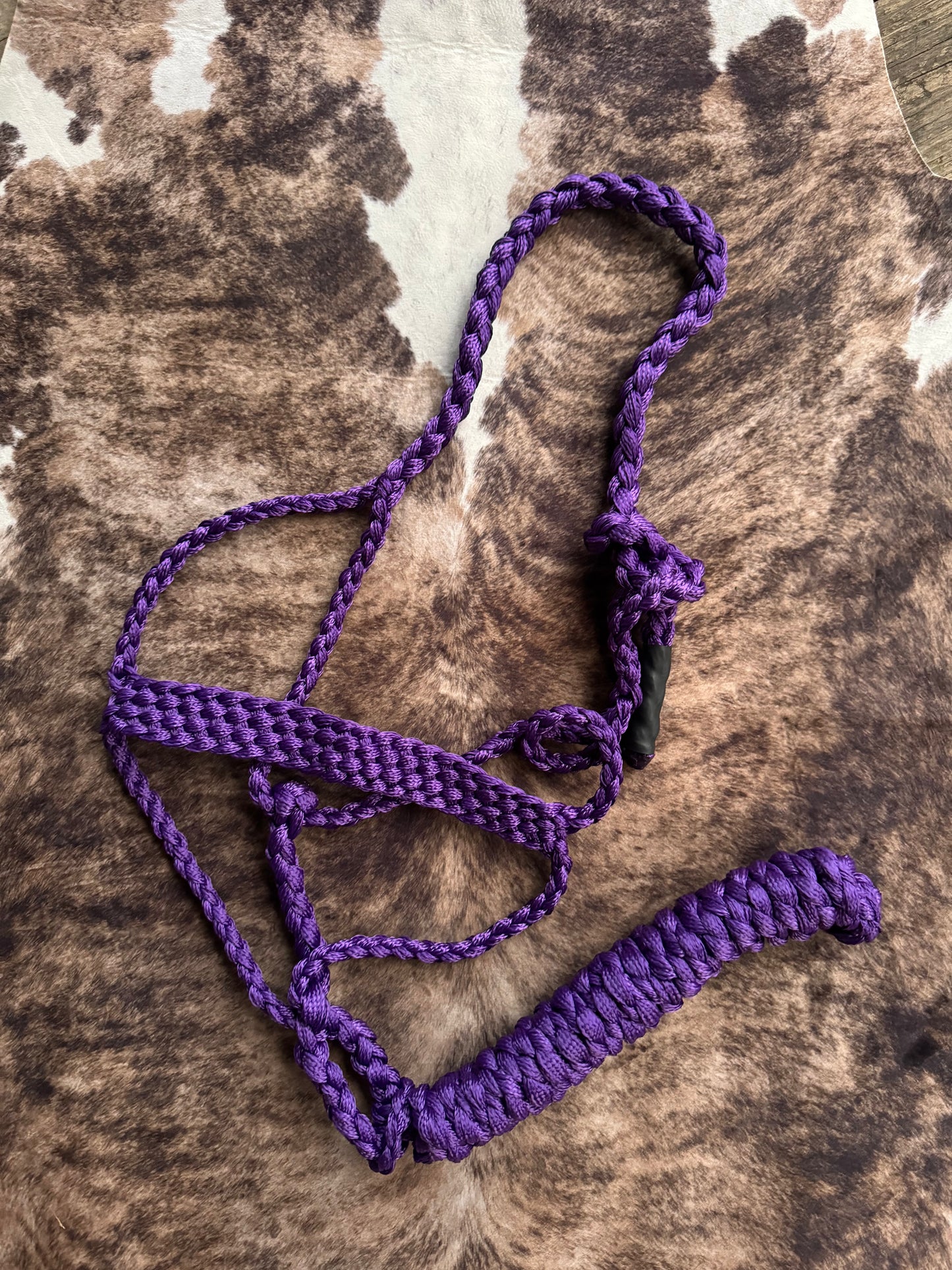 Purple Mule Tape Halter