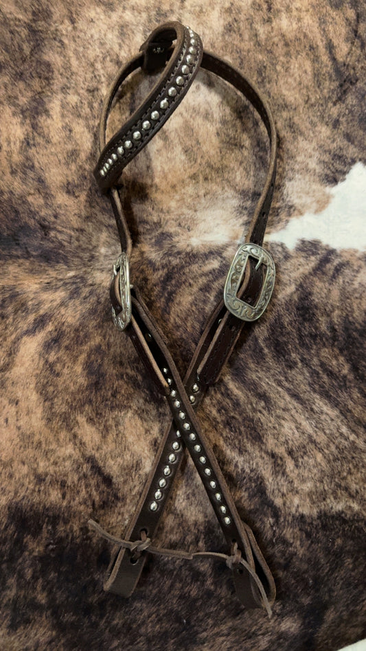 Silver Spotted One Ear