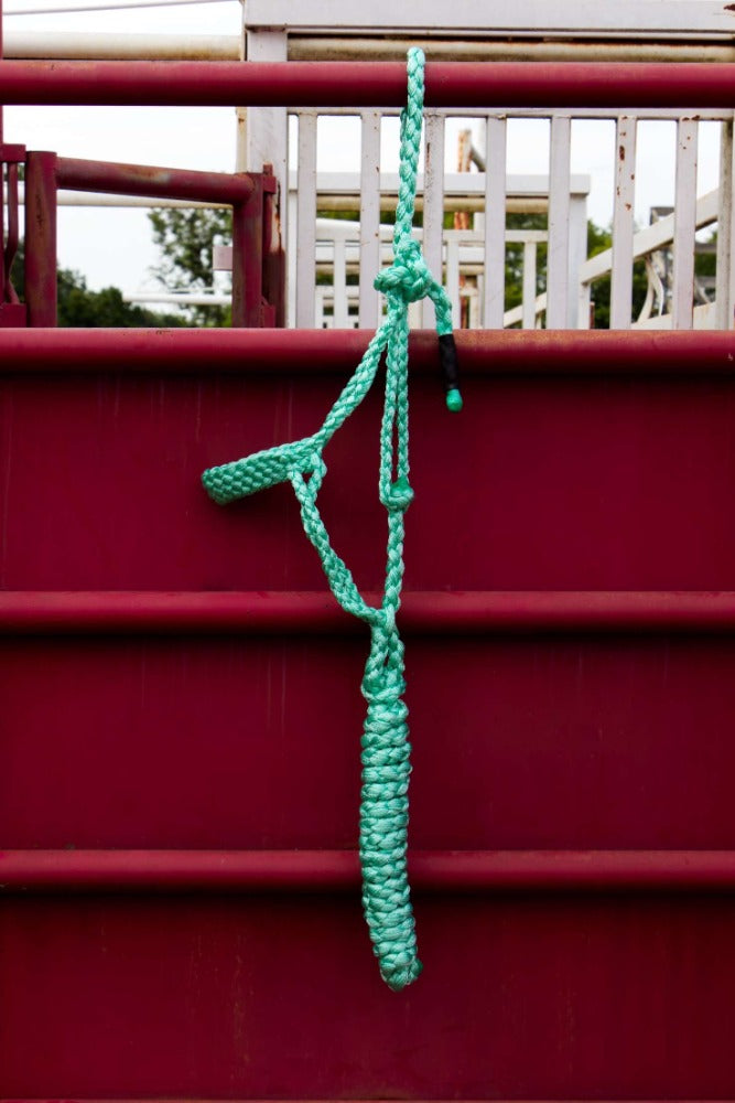 Dusty Mint Mule Tape Halter