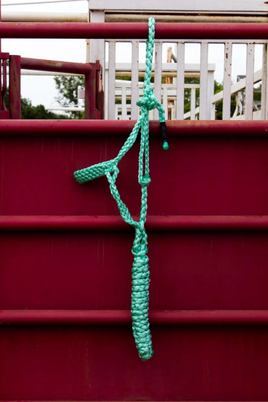 Dusty Mint Mule Tape Halter